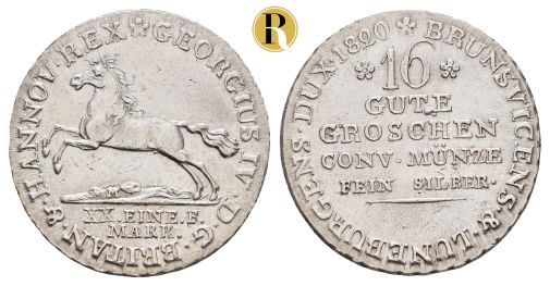 Lot 10113